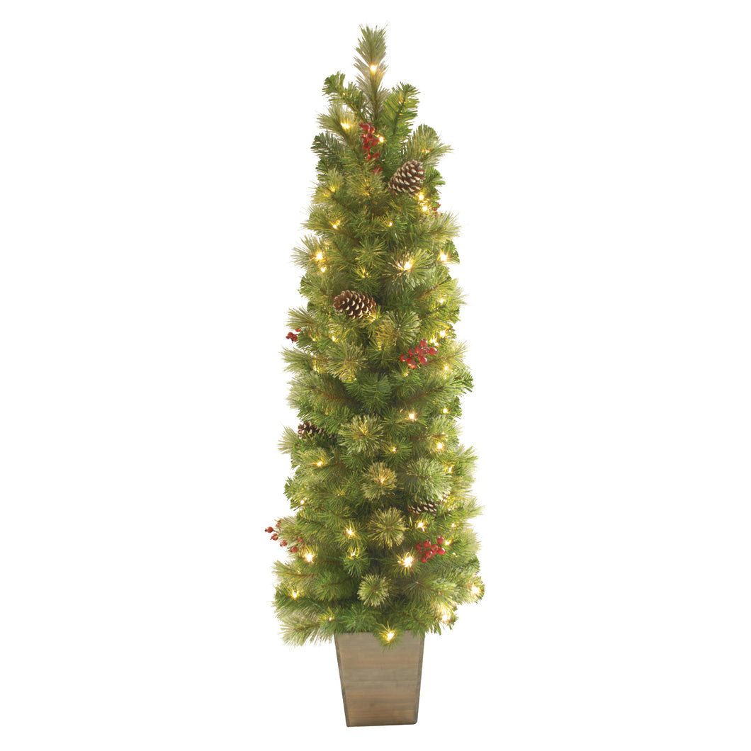 Holiday Bright Lights TRTD-5BSDWW Pot Tree, 5 ft H