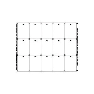 DOCUPRINT FORMS &amp; SIGNS 15 OUTDOOR PUNCH Punched Indoor Tag, Weatherproof