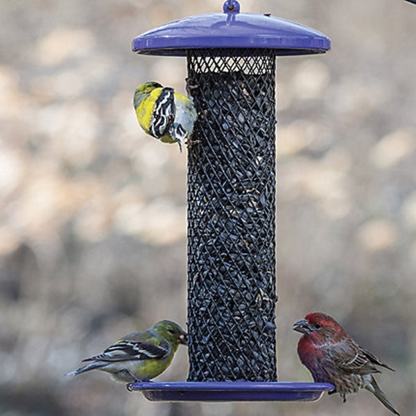 Perky-Pet TSS00348 Shorty Bird Feeder, Metal, Powder-Coated