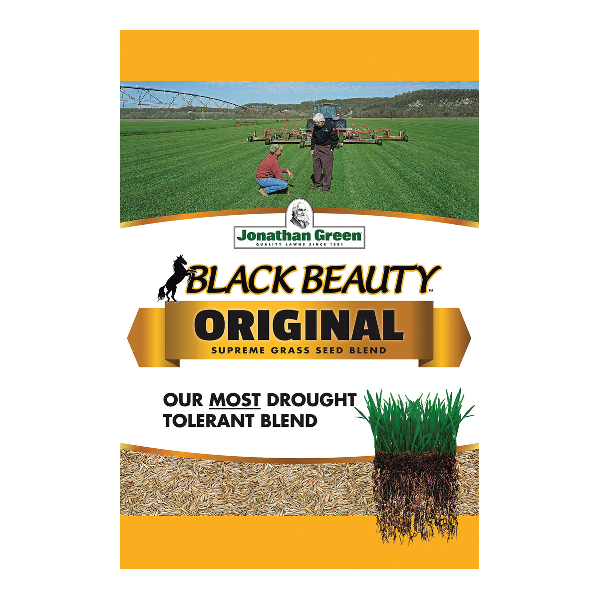 Jonathan Green Black Beauty 10318 Grass Seed, 5 lb Bag