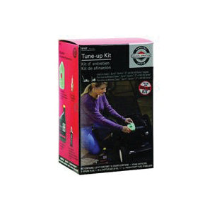 BRIGGS &amp; STRATTON 5107B Tune-Up Kit, For: 450 and 600 Series, 3.5 to 4 hp Gross Classic, Sprint and Quattro Engines