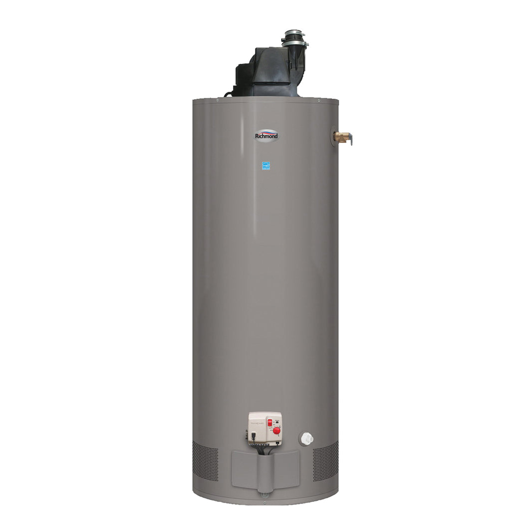 Richmond Essential Series 6GR50PVE2-42P Gas Water Heater, Liquid Propane, 50 gal Tank, 78 gph, 42000 Btu/hr BTU