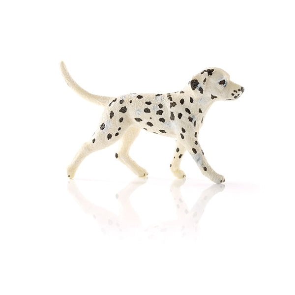 Schleich-S 16838 Figurine, 3 to 8 years, Dalmatian Male, Plastic