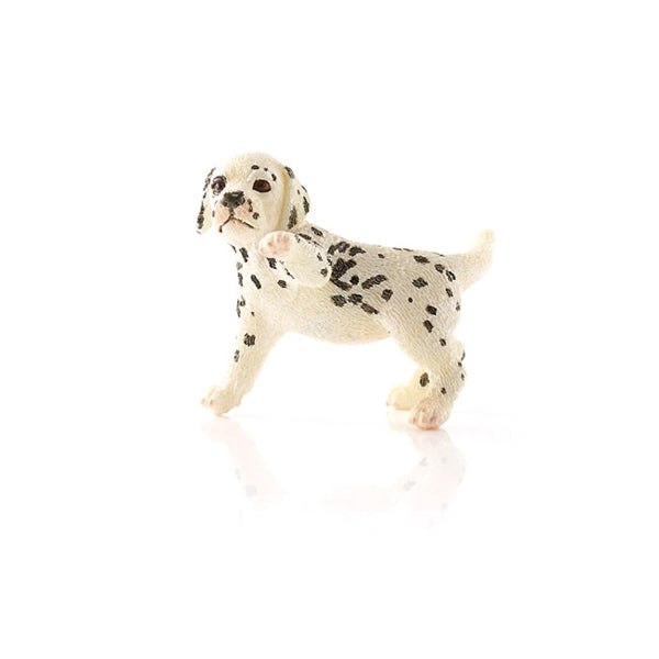Schleich-S 16839 Figurine, 3 to 8 years, Dalmatian Puppy, Plastic