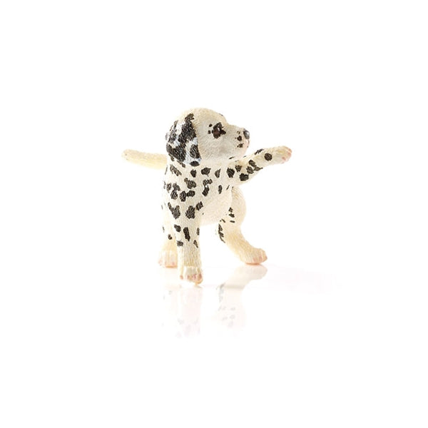 Schleich-S 16839 Figurine, 3 to 8 years, Dalmatian Puppy, Plastic