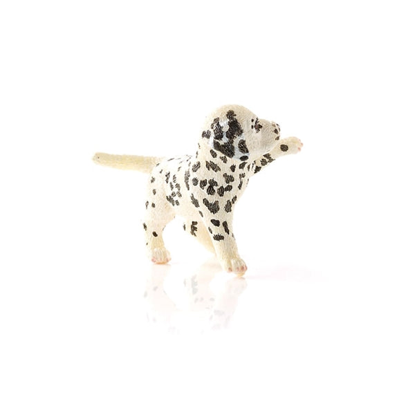 Schleich-S 16839 Figurine, 3 to 8 years, Dalmatian Puppy, Plastic