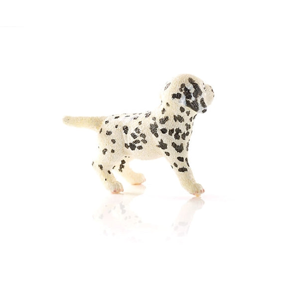 Schleich-S 16839 Figurine, 3 to 8 years, Dalmatian Puppy, Plastic
