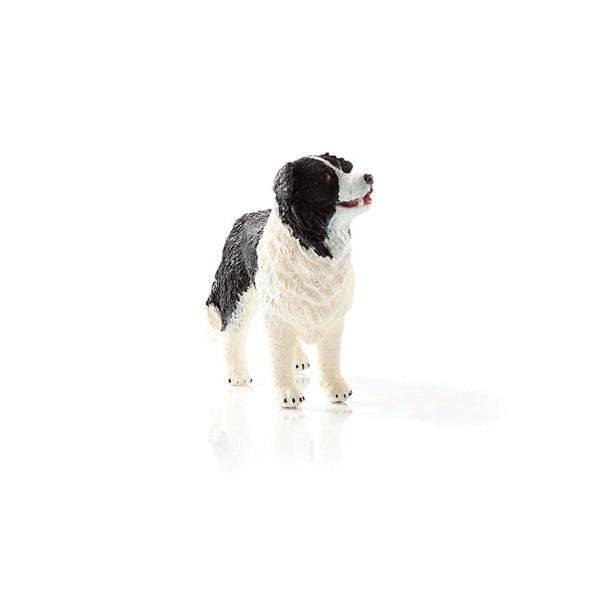 Schleich-S 16840 Figurine, 3 to 8 years, Border Collie, Plastic