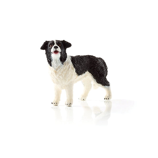Schleich-S 16840 Figurine, 3 to 8 years, Border Collie, Plastic