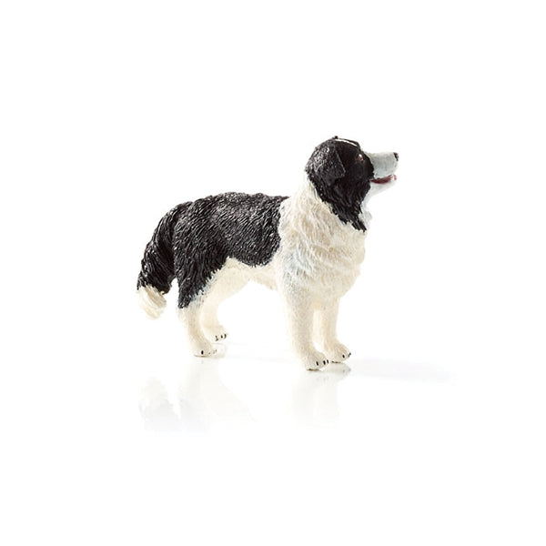 Schleich-S 16840 Figurine, 3 to 8 years, Border Collie, Plastic