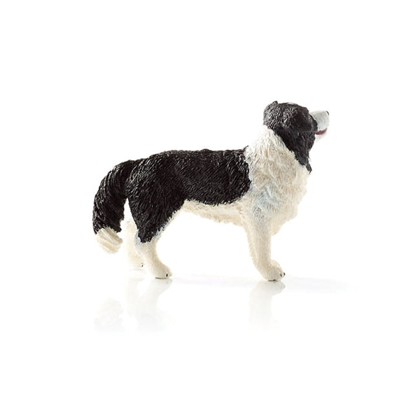 Schleich-S 16840 Figurine, 3 to 8 years, Border Collie, Plastic