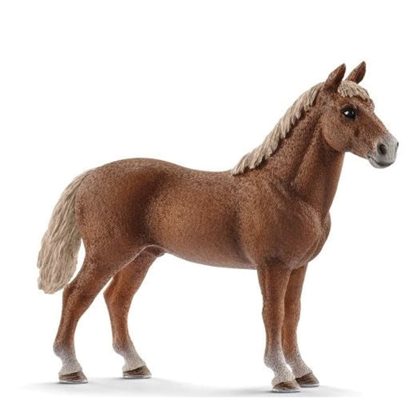 Schleich-S 13869 Figurine, 3 to 8 years, Morgan Horse Stallion, Plastic