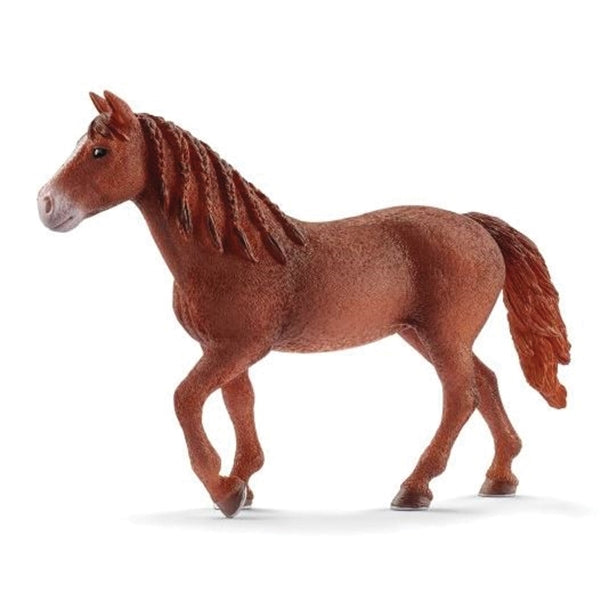 Schleich-S 13870 Figurine, 3 to 8 years, Morgan Horse Mare, Plastic