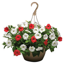 Load image into Gallery viewer, Live Plant, Deluxe Hanging Basket, 10 IN , White Tag

