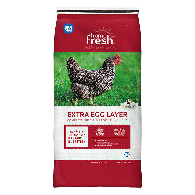 Blue Seal Home Fresh Extra Egg Layer Crumble 50 LB Poultry Feed