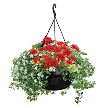 Load image into Gallery viewer, Live Plant, Premium Hanging Basket, 10 IN , Pink Tag
